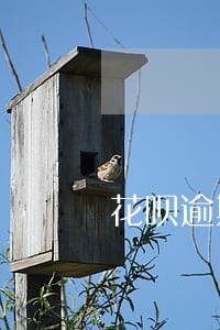 花呗逾期怎么再次申请 花呗逾期怎么再次申请