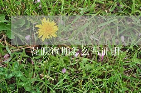 花呗逾期怎么写证明 花呗逾期怎么写证明