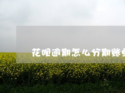 花呗逾期怎么分期账单 花呗逾期怎么分期账单