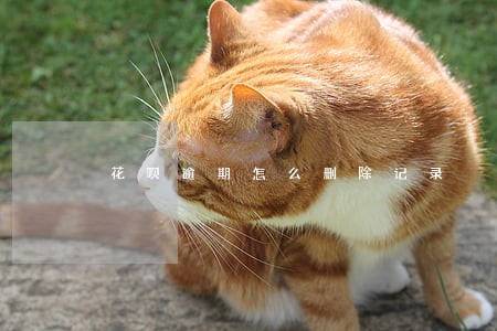 花呗逾期怎么删除记录 花呗逾期怎么删除记录