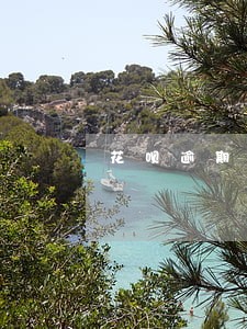 花呗逾期怎么办信用卡 花呗逾期怎么办信用卡