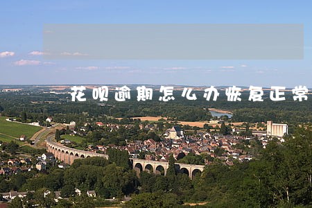 花呗逾期怎么办恢复正常 花呗逾期怎么办恢复正常