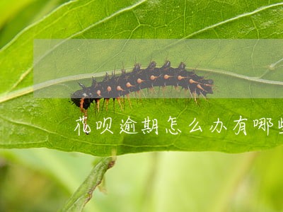 花呗逾期怎么办有哪些后果 花呗逾期怎么办有哪些后果