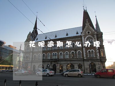 花呗逾期怎么办理免息 花呗逾期怎么办理免息
