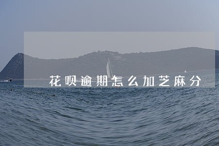 花呗逾期怎么加芝麻分 花呗逾期怎么加芝麻分