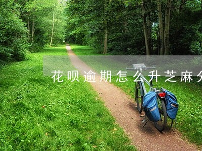 花呗逾期怎么升芝麻分 花呗逾期怎么升芝麻分