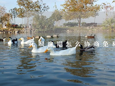 花呗逾期怎么协商免利息 花呗逾期怎么协商免利息