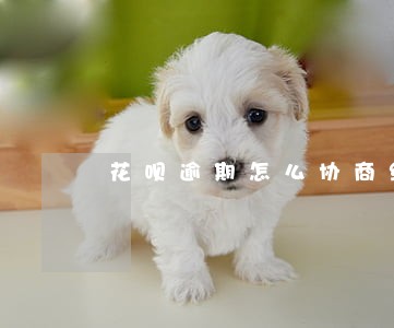 花呗逾期怎么协商结清