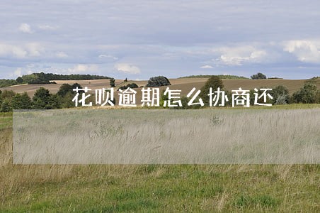 花呗逾期怎么协商还 花呗逾期怎么协商还