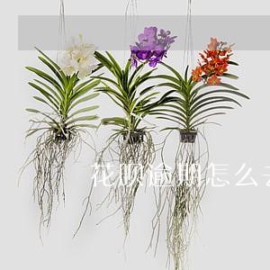 花呗逾期怎么去攒芝麻粒 花呗逾期怎么去攒芝麻粒