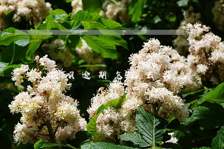 花呗逾期怎么去罚息 花呗逾期怎么去罚息