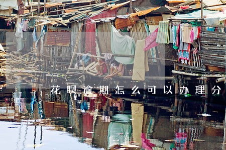 花呗逾期怎么可以办理分期 花呗逾期怎么可以办理分期