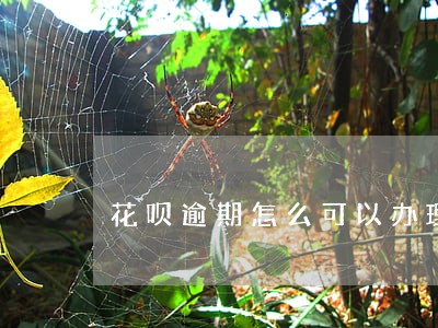 花呗逾期怎么可以办理分期付款 花呗逾期怎么可以办理分期付款
