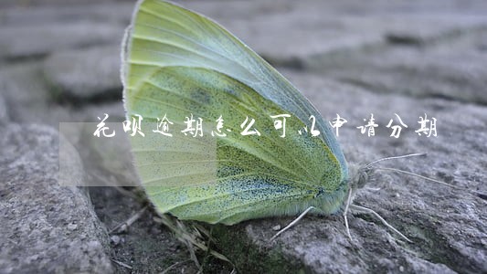 花呗逾期怎么可以申请分期 花呗逾期怎么可以申请分期