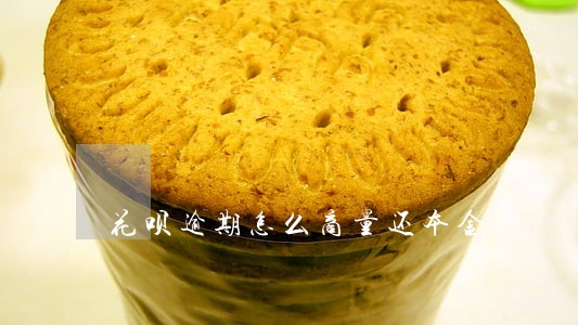 花呗逾期怎么商量还本金 花呗逾期怎么商量还本金