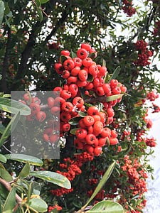 花呗逾期怎么回复信用分 花呗逾期怎么回复信用分