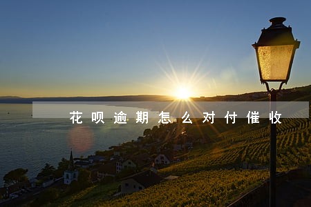 花呗逾期怎么对付催收 花呗逾期怎么对付催收