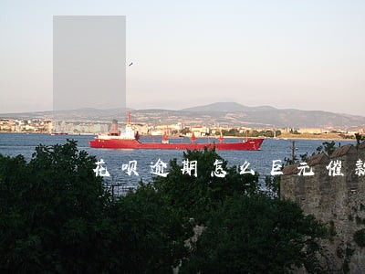 花呗逾期怎么巨元催款 花呗逾期怎么巨元催款