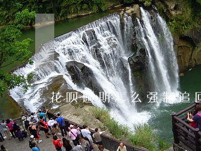 花呗逾期怎么强制追回欠款 花呗逾期怎么强制追回欠款