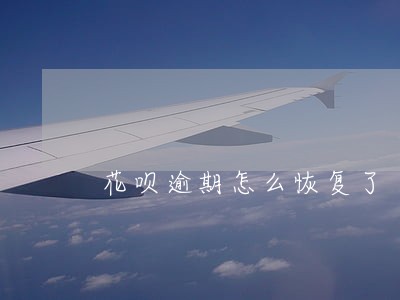 花呗逾期怎么恢复了 花呗逾期怎么恢复了