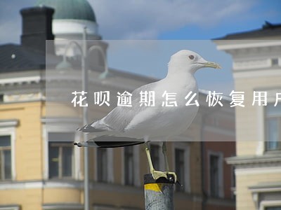花呗逾期怎么恢复用户 花呗逾期怎么恢复用户