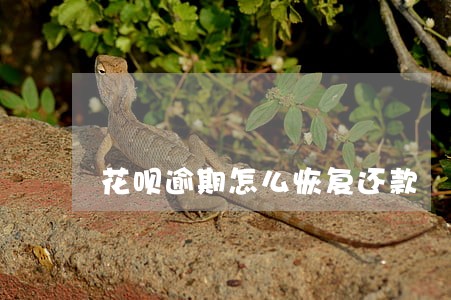 花呗逾期怎么恢复还款 花呗逾期怎么恢复还款