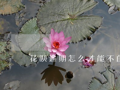 花呗逾期怎么才能不自动扣款