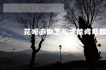 花呗逾期怎么才能降低额度