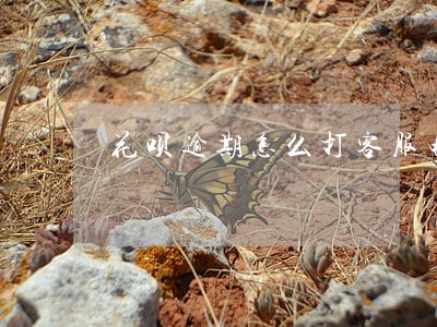 花呗逾期怎么打客服电话 花呗逾期怎么打客服电话