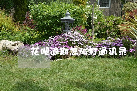 花呗逾期怎么打通讯录 花呗逾期怎么打通讯录
