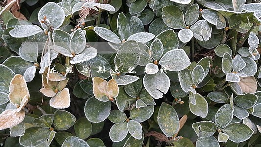花呗逾期怎么扣钱 花呗逾期怎么扣钱