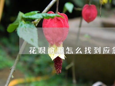 花呗逾期怎么找到应急联系人 花呗逾期怎么找到应急联系人