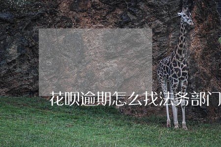 花呗逾期怎么找法务部门协商 花呗逾期怎么找法务部门协商