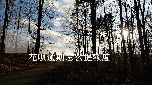 花呗逾期怎么提额度