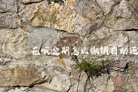 花呗逾期怎么撤销自动还款 花呗逾期怎么撤销自动还款