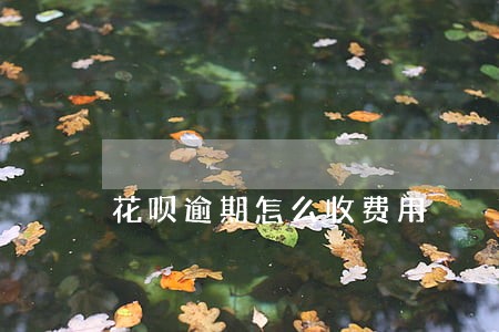 花呗逾期怎么收费用 花呗逾期怎么收费用