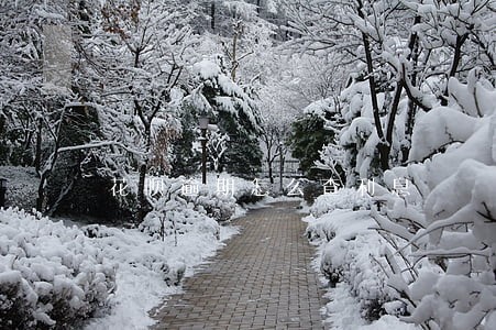花呗逾期怎么查利息 花呗逾期怎么查利息