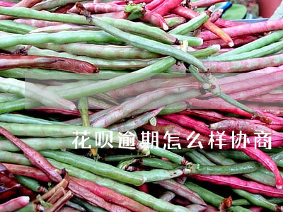 花呗逾期怎么样协商 花呗逾期怎么样协商