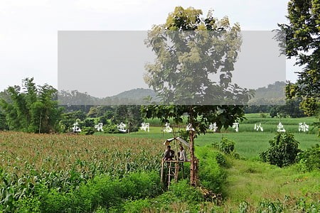 花呗逾期怎么样可以免除利息 花呗逾期怎么样可以免除利息