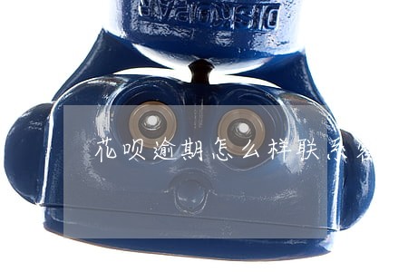花呗逾期怎么样联系客服
