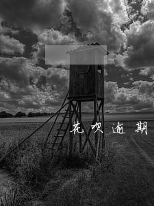 花呗逾期怎么样避免扣钱 花呗逾期怎么样避免扣钱