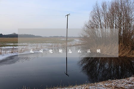 花呗逾期怎么注销 花呗逾期怎么注销