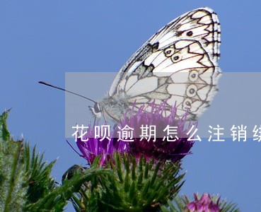 花呗逾期怎么注销绑定的手机号 花呗逾期怎么注销绑定的手机号