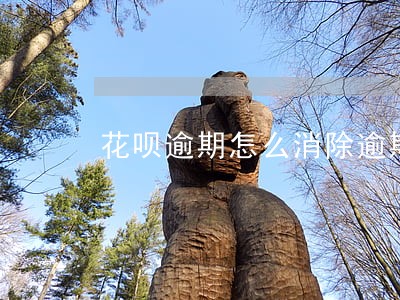 花呗逾期怎么消除逾期 花呗逾期怎么消除逾期