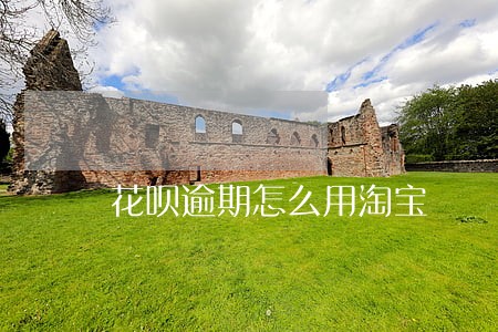 花呗逾期怎么用淘宝 花呗逾期怎么用淘宝