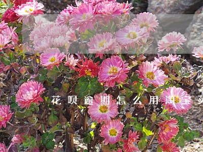 花呗逾期怎么用淘宝买东西 花呗逾期怎么用淘宝买东西