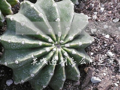 花呗逾期怎么用芝麻粒恢复 花呗逾期怎么用芝麻粒恢复