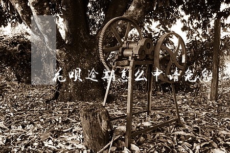 花呗逾期怎么申请免息 花呗逾期怎么申请免息