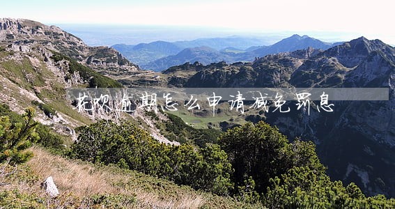 花呗逾期怎么申请减免罚息