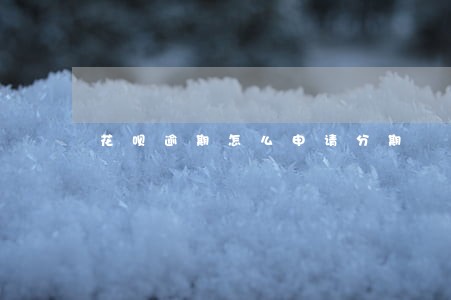 花呗逾期怎么申请分期 花呗逾期怎么申请分期